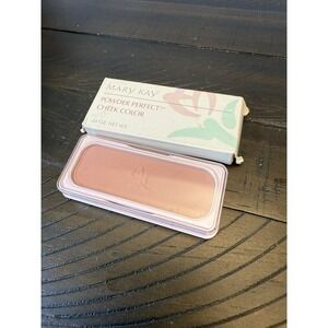 Mary Kay Powder Perfect Cheek‎ Color Brushed Suede 3798 NEW IN BOX Discontinued